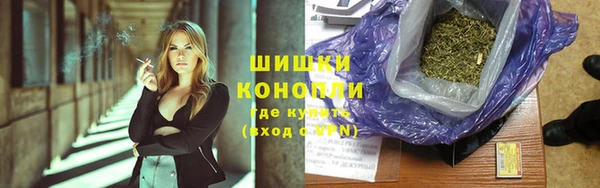 спиды Дмитриев