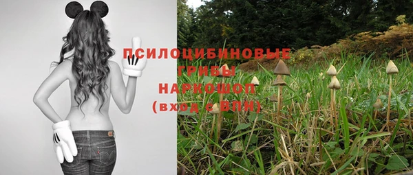 амф Волосово