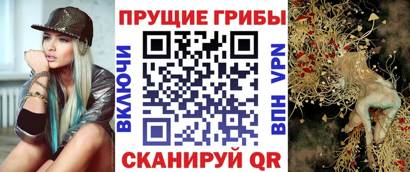 Псилоцибиновые грибы Cubensis как найти blacksprut ONION Волчанск